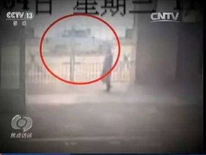 寧波學(xué)霸的一次出國(guó)邂逅,卻將自己變成了......