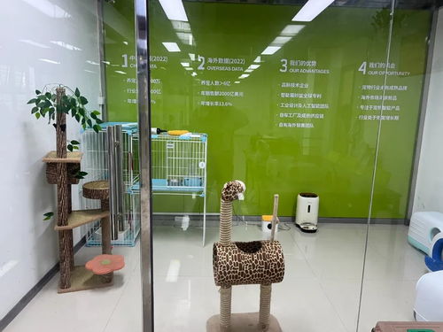 松山湖智能寵物用品暢銷全球，單品銷售額突破千萬元